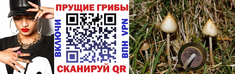 Псилоцибиновые грибы прущие грибы  Малоархангельск 